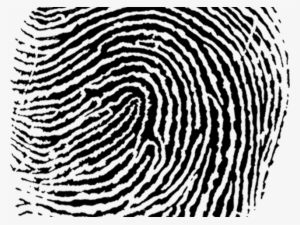 Fingerprint Png Transparent Images - Fingerprint #347166
