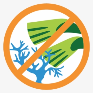 No Stepping On Coral - Don T Touch The Coral #347410