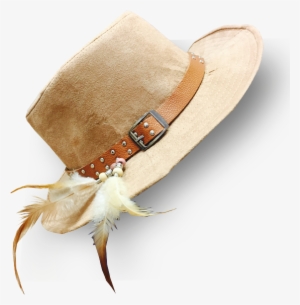 Insect #347776
