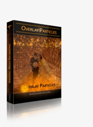 Particle #348000 Particle #348000