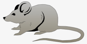 Mouse, Pet, Animals, Mammal, Rodent, Wildlife, Animal - Clip Art Of Mouse #349429