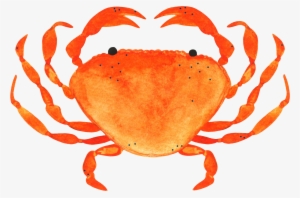 All Tickets $55 - Ahoy Indoor/outdoor Cushion #349742