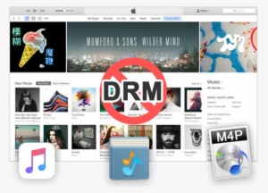 Apple Music Converter - Blur: The Magic Whip Cd #349935