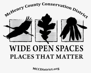 Final Sticker-png - Illustration #349957