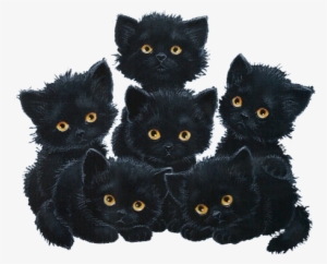 Todas As Imagens Em Gif Postadas No "apaixonados Por - Porto Alegre #3400114