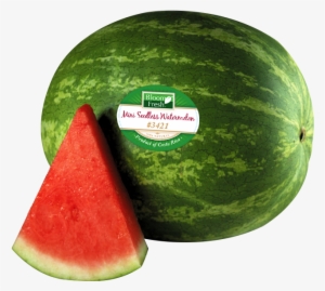 Watermelon Png Transparent Images - Watermelon Clip Art #3400150 Watermelon Png Transparent Images - Watermelon Clip Art #3400150