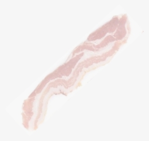 Canadian Institute For The Advancement Of Bacon Studies - Powered By Bacon Throw Blanket #3400357