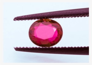 68ct Vivid Red Ruby Gia Certified, Gorgeous Clean Stone - Ruby #3401094