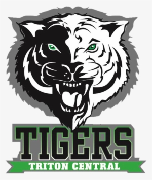 Hs Football - - Triton Central High School #3401116