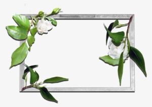 Frames Flowers Transparent Png #3401754