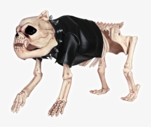 Skeleton Dog Dress Up Kit - Crazy Bonez Skeleton Dog Dress Up Kit #3401779