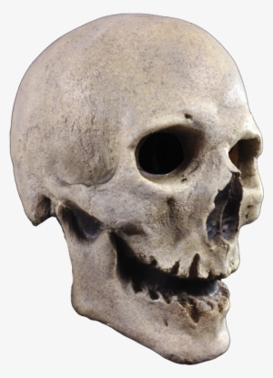 Previous Product Next Product - Trick Or Treat Studios Antique Skull Mask #3401873