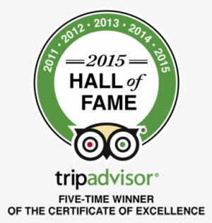 Tripadvisor 2015 Hall Of Fame Experience Belfast - Tripadvisor Certificate Of Excellence 2018 Png #3403419