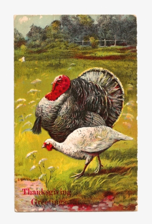 Vintage Thanksgiving Postcard - Thanksgiving #3403445