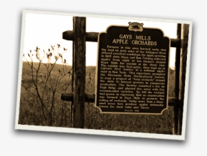 Sunrise-sign - History #3404171