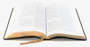 Biblehomepage3 - Baptists: The Only Thorough Religious Reformers - Trade #3404203