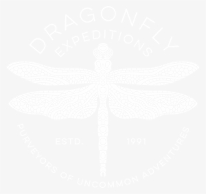 Dragonfly Expeditions #3404290