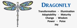 Dragonfly - Definition - A #3404340