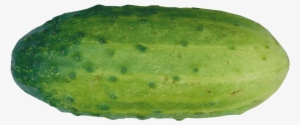 Cucumber Clipart Transparent Background - Огурец Пнг #3405992