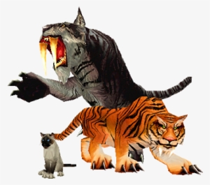 World Of Warcraft Feline #3406040