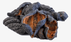 Igneous Rock #3406418