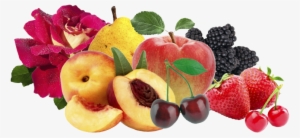 Jpeg File - Place Logo In Presentation #3407048