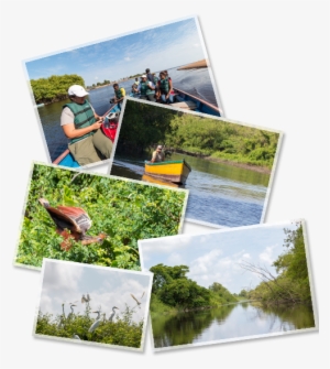 Image - Navigators Travel To Guyana: Based On An Idea By Howard #3407452