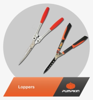 Gardening Tools - Tool #3409592