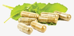 Capsule Png File - Havana Nutrition Cats Claw Bark Capsules - Herbal Plant #3409772