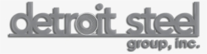 Detroit Steel Group, Inc - Detroit Steel Group, Inc. #3409896