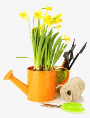 Gardening Tools - Water Can With Flower Png Transparent #3410141