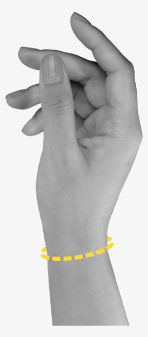 Wrist Size Guide - Flesh #3412328