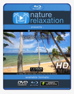 "perfect Palms" Tropical Fiji Static Nature Video Scene - Blu-ray Disc #3412443