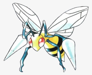 Tm40 Skull Bash Pp - Beedrill Pokemon #3415383