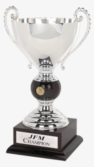 Fire And Ice Cup - Cup #3416034