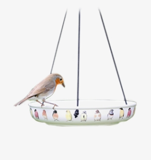 Our Water Dishes Are Great For Small Garden Birds, - Canary #3416583