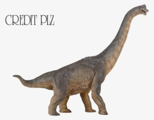 Brachiosaurus Png Transparent Image - Dinosaurs Png #3417645