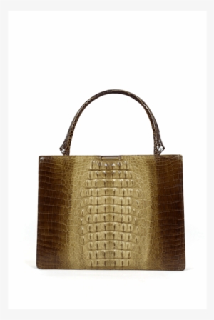 Vintage 1960s Hornback Crocodile Leather Brown Vintage - 1960s Matt Beige To Glossy Brown Colour Gradient Crocodile #3421691