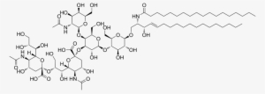 Gd2 Ganglioside - Disialoganglioside Gd2 #3422956