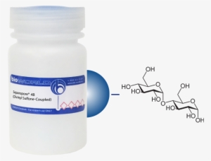 Immunoglobulin G #3423009