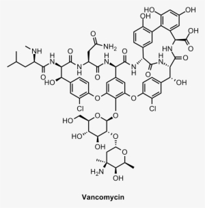 Vancomycin 29kb Jun 19 2012 - Vancomycin #3423113