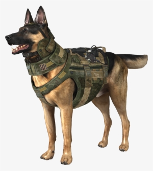 Riley Model Codg - Riley Call Of Duty Ghosts #3423938