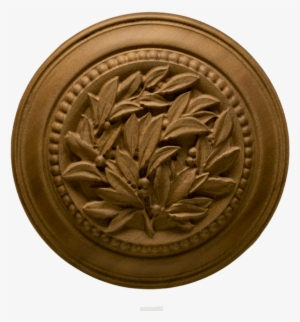 $0 - - Bay Laurel #3426284