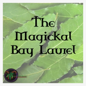 Bay Laurel - Design #3426307