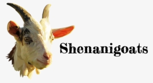 Spread The Love - Transparent Goat Head Png #3428042