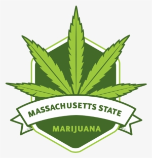 Funny Themed Pittsburgh Steelers Stoners Pot Leaf Tote #3429250