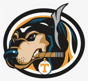 Tennessee Vols Smokey #3430875