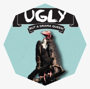 Uglyanimals #3431248