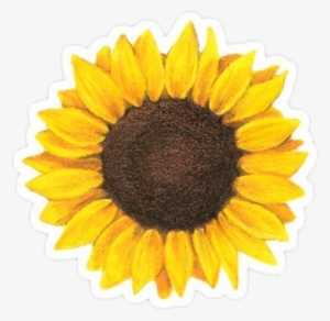 Sunflower Tumblr Sricker Adesivo - Sunflower Tattoo #3431332