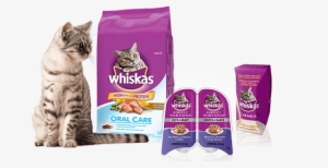 Does Your Cat Love Whiskas® #3432694